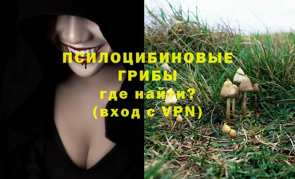 герыч Бугульма