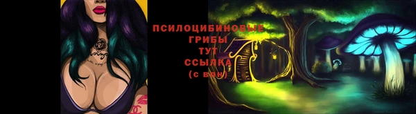COCAINE Бородино