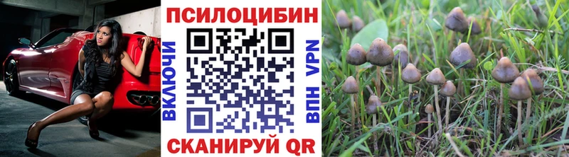 Галлюциногенные грибы ЛСД  Купить  Гусиноозёрск 
